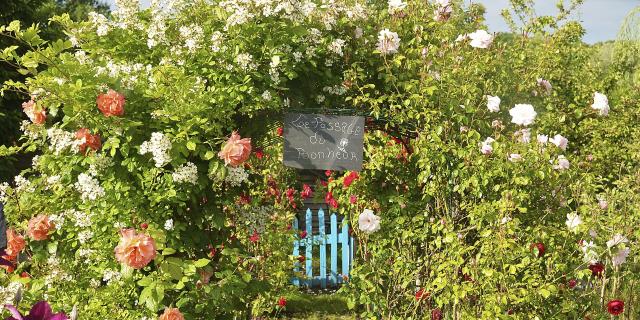 Northern France _ Amiens _ Les Hortillonnages _ Garden © CRTC Hauts-de-France - Franck Deleautre