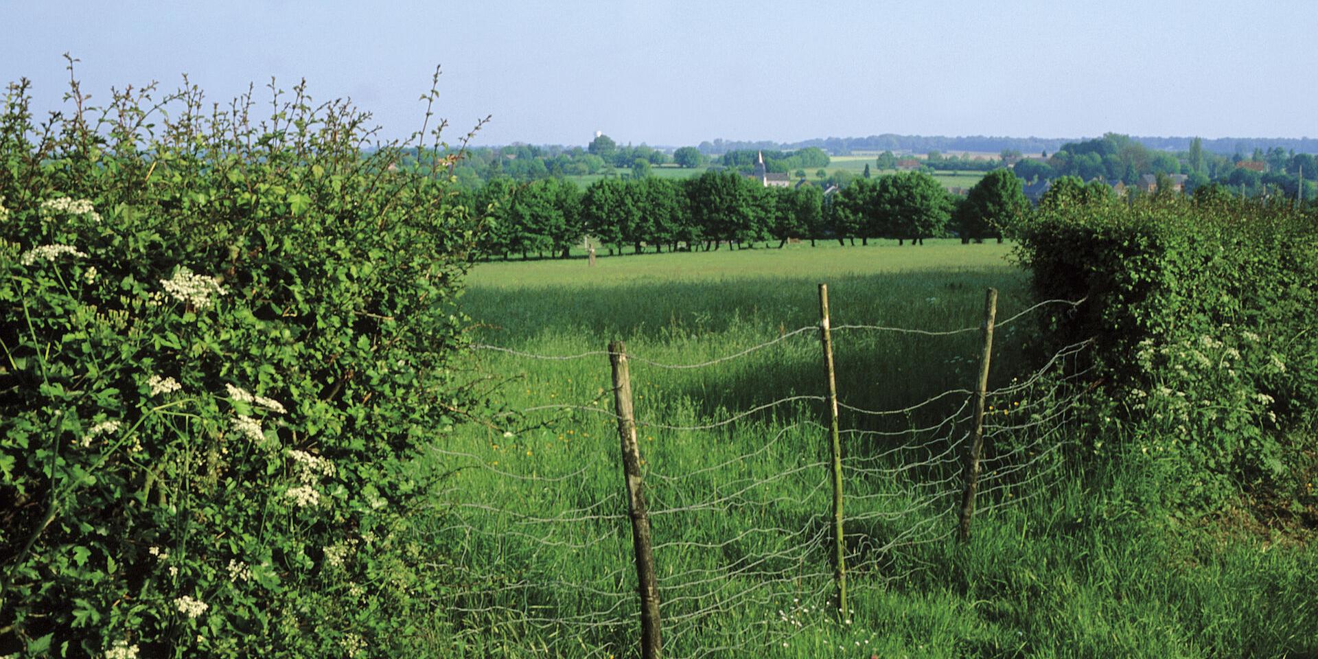 Avesnois, Paysage de bocage ©CRTC Hauts-de-France - Pascal Morès