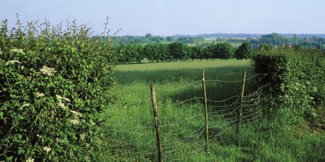 Heckenlandschaft im Avesnois, Nordfrankreich. Copyright: CRTC Hauts-de-France - Pascal Morès