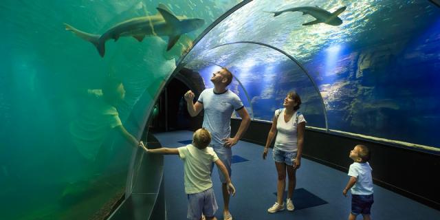 Kind berührt die Scheibe im Unterwassertunnel des Meeresaquariums Nausicáa in Boulogne-sur-Mer, Nordfrankreich. Copyright: CRTC Hauts-de-France - Anne-Sophie Flament