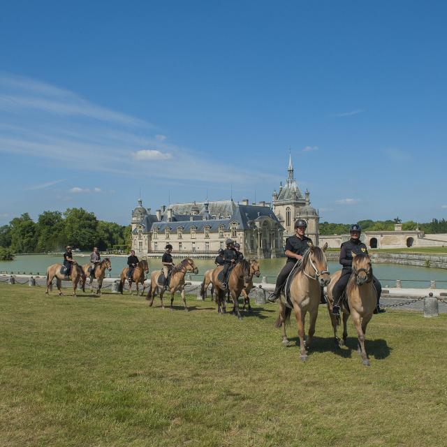 Henson-Pferde beim Ausritt im Schlosspark von Chantilly, Nordfrankreich. Copyright: CRTC Hauts-de-France - Florent Cocquet