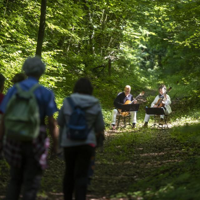 Northern France _ Compiègne _ Forest Festival © Crtc Hauts de France - Benjamin Teissedre