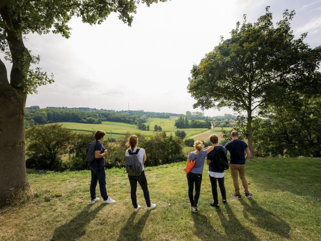 Gruppe wandert auf grünen Wegen durch Flandern. Copyright: CRTC Hauts-de-France - Teddy Henin