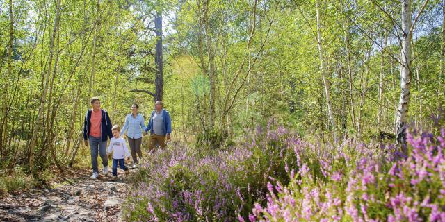 Spaziergang im Wald von Ermenonville, Nordfrankreich. Copyright: CRTC Hauts-de-France - Vincent Colin
