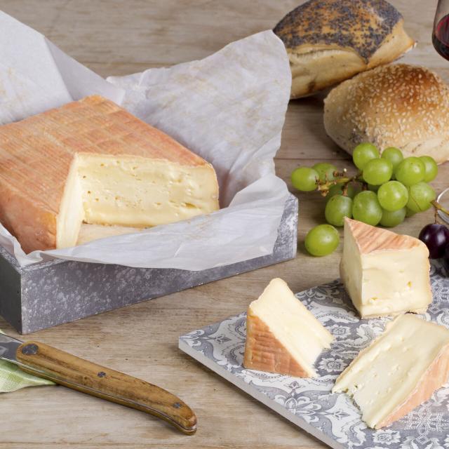 Northern France _ Haution _ Farm of the Fontaine d'Orion _ Maroilles cheese ©CRTC Hauts-de-France, Anne-Sophie FLAMENT