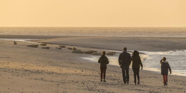 Vorsichtig beobachten Urlauber die Seehunde in der Bucht von Authie in Berck-sur-Mer in Nordfrankreich. Copyright: CRTC Hauts-de-France, Stéphane Bouilland