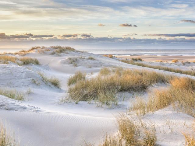 Nordfrankreich, Le Touquet-Paris-Plage, Dünen in der Abendsonne