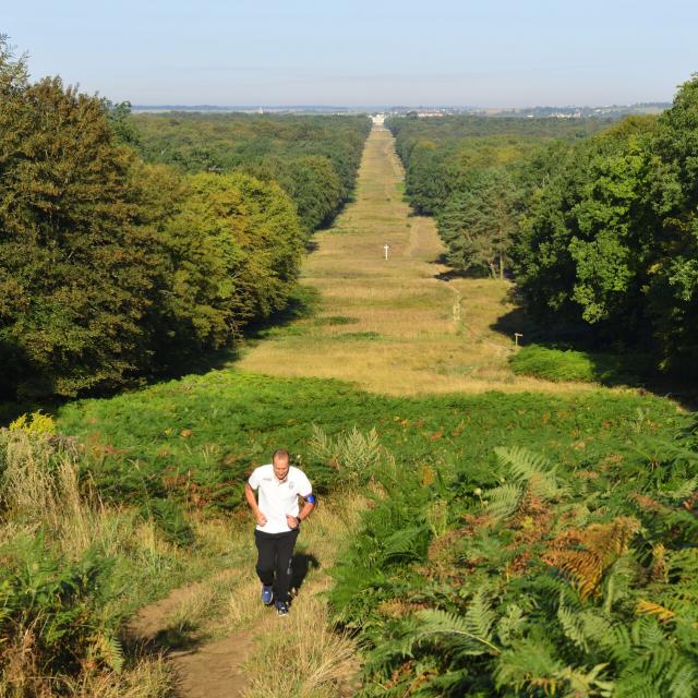 Allée des Beaux Monts im Wald von Compiègne, Copyright: CRTC Hauts-de-France - Herve Hughes