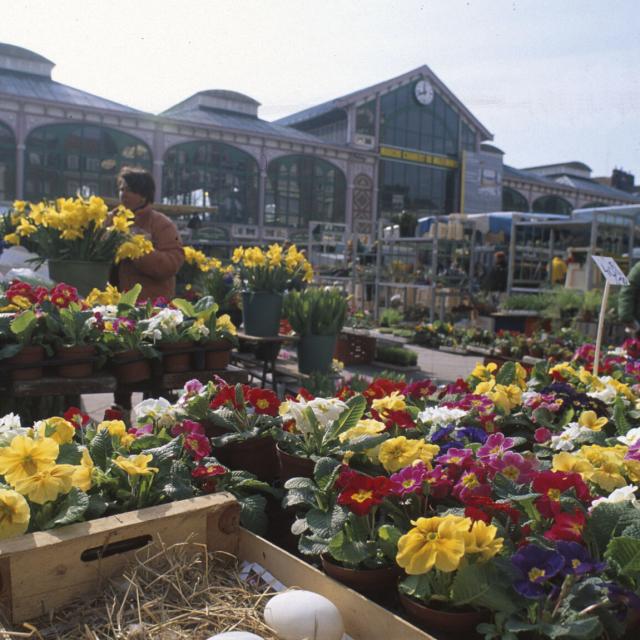 Northern France _ Lille _ Wazemmes market © Office de Tourisme de Lille