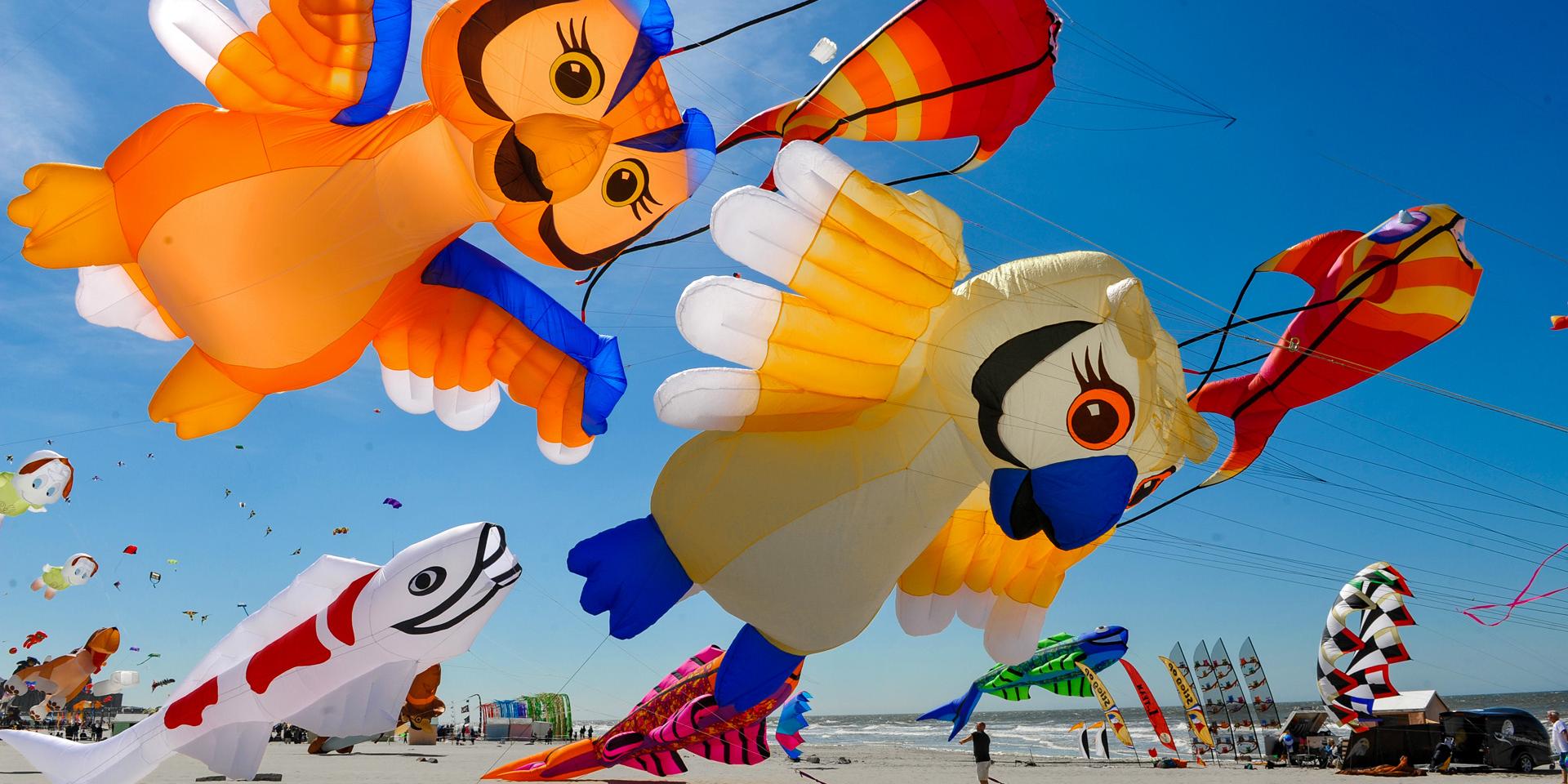 Northern France _ Berck-sur-Mer_Kite festival © Ville de Berck-sur-Mer