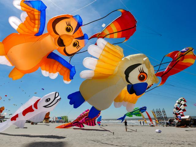 Northern France _ Berck-sur-Mer_Kite festival © Ville de Berck-sur-Mer