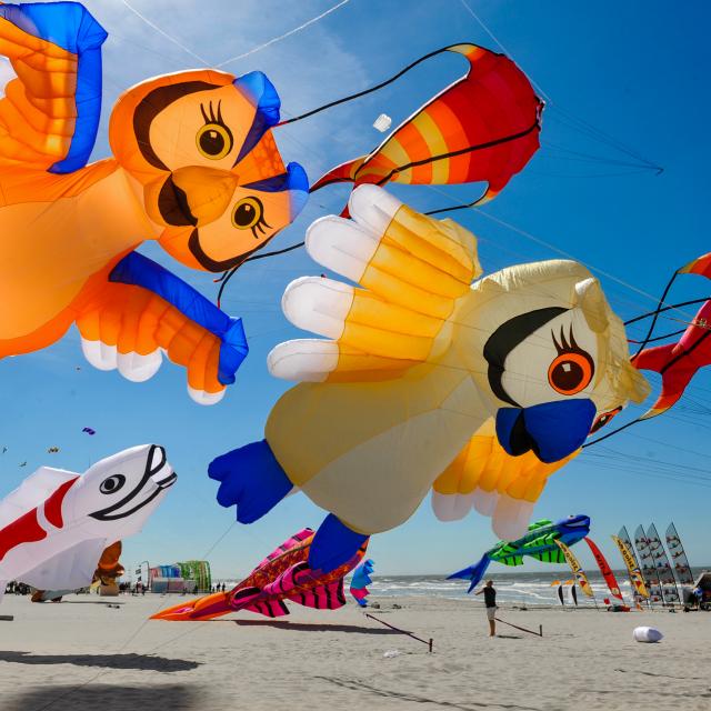 Northern France _ Berck-sur-Mer_Kite festival © Ville de Berck-sur-Mer
