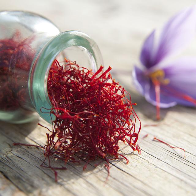 Northern France _ Bay of Somme _ Saffron ©CRTC Hauts-de-France - Comdesimages.com