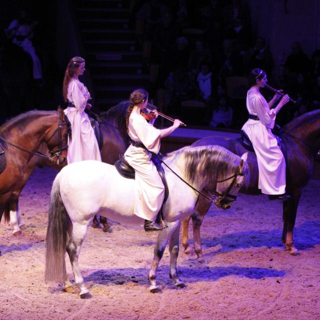 Pferde-Show auf Schloss Chantilly, Copyright: CRTC Hauts-de-France - Jean Luc Verbrugghe