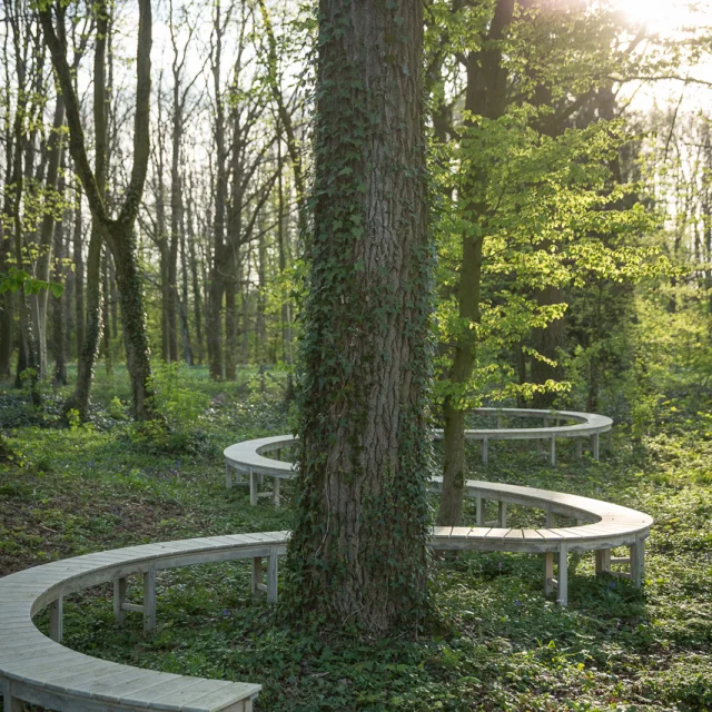 Northern France _ Thiepval _ Welsh Garden of Peace © Art & Jardins Hauts de France - Yann Monel