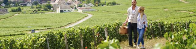 Northern France _ Aisne department _hiking _ champagne vineyard ©CRTC Hauts-de-France - Vincent Colin