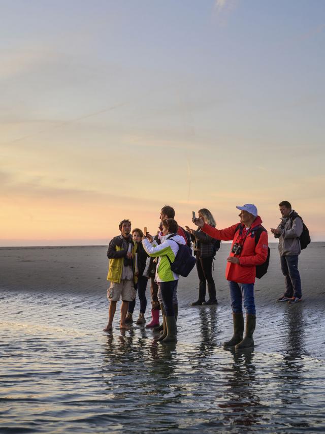 Eine Gruppe wandert mit Guide durch das Watt der Somme-Bucht, Copyright: CRTC Hauts-de-France - Nicolas Bryant