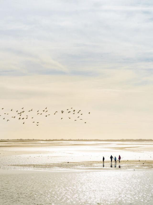 Wattwandern mit der Familie in der Bucht der Somme, Copyright: Benoit Bremer