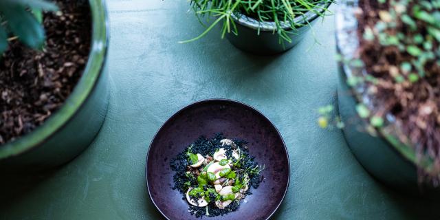 Restaurant Rozo in Lille, Copyright: Aurore Degaigne