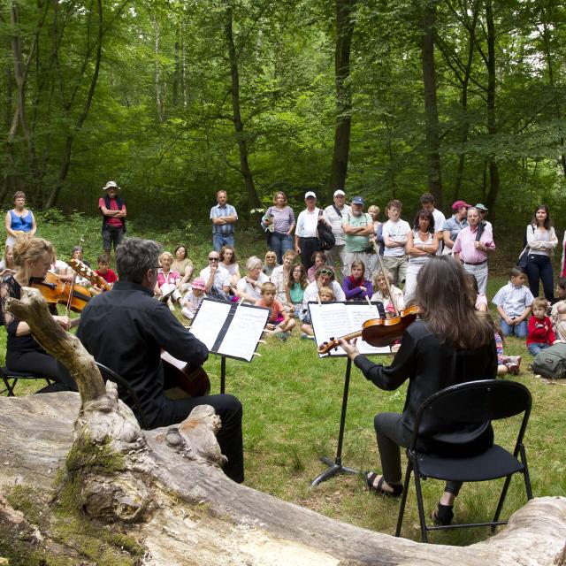 Noord-Frankrijk, Saint-Jean-aux-Bois, Festival des Forêts