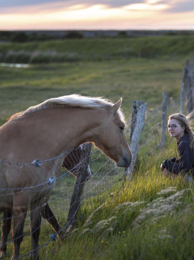 Somme _ Une fillette et un Henson © CRTC Hauts-de-France - Nicolas Bryant