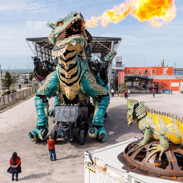 Northern France _ Calais _ dragon and sentinel iguana ©Fred Collier_Ville_de_Calais