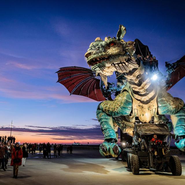 Der Drache von Calais bei Nacht in Nordfrankreich. Copyright: Fred Collier, Ville de Calais