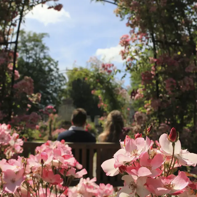 Northern France _ Fontaine Chaalis - Rose garden © CRTC Hauts-de-France - Jean Luc Verbrugghe