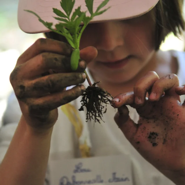 Northern France _ Chantilly_Potager des Princes©CRTC Hauts-de-France – Nicolas Bryant