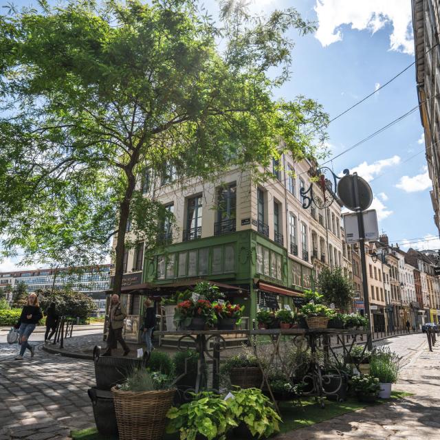 Northern France _ Lille _ Place des patiniers © CRTC Hauts-de-France MakeArtMedia