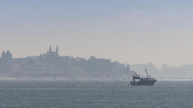 Les chalutiers du Hourdel en Baie de Somme se consacrent en grande partie à la pêche à la crevette grise. Lors de la remontée du chalut, un multitude de mouettes vient manger ce que les pêcheurs rejettent à l'eau. Saison : automne - Lieu :  Le Hourdel, Baie de Somme, Somme, Picardie, Hauts-de-France, France. The trawlers from Le Hourdel in the Baie de Somme are largely devoted to fishing for shrimp. During the ascent of the trawl, a multitude of seagulls comes to eat what the fishermen reject to the water. Season: autumn - Location: Le Hourdel, Somme Bay, Somme, Picardie, Hauts-de-France, France