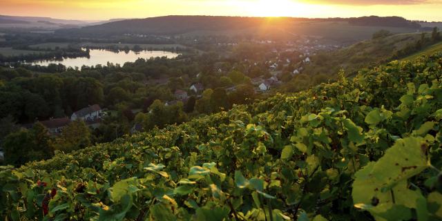 Northern France _ Barzy-Sur-Marne _ Champagne wineyard © CRTC Hauts de France _ Anne-Sophie Flament