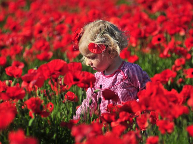 Filette Coquelicots ©CRT Hauts-de-France – Nicolas Bryant