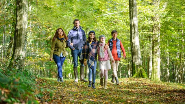Montreuil Aux Lions Gîte La Folie Du Chanois 1920px