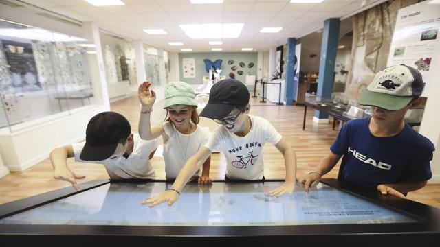 Saint Quentin Le Musée des Papillons © CRT Hauts-de-France – Ludovic Leleu