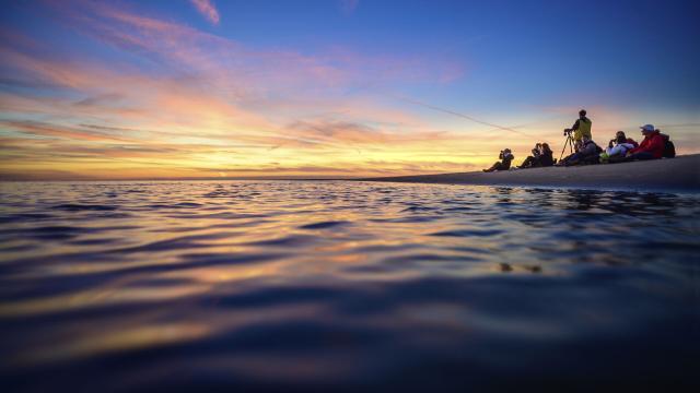 Baie de Somme _ Sortie Nature © Hauts De France Tourisme - Nicolas Bryant