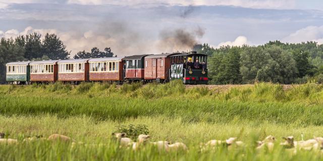 France, Somme (80), Baie de Somme, Noyelles-sur-mer, Fête de la vapeur 2021, trains à vapeur sur la digue entre noyelles et Saint-Valery // France, Somme (80), Bay of the Somme, Noyelles-sur-mer, Steam Festival 2021, steam trains on the dam between noyelles and Saint-Valery