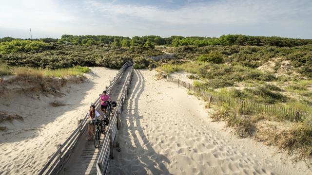 Musica nigella – 5ème rendez-vous automnal (Le Touquet-Paris-Plage ...