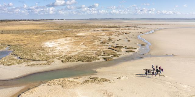 Baie de Somme - Sortie nature Soufflez en Baie !  dans le cadre du Festival de l'Oiseau. © CRTC Hauts-de-France - Stéphane BOUILLAND