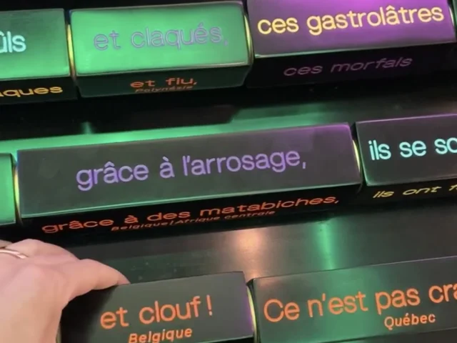 Villers-Cotterêts - Cité internationale de la langue française