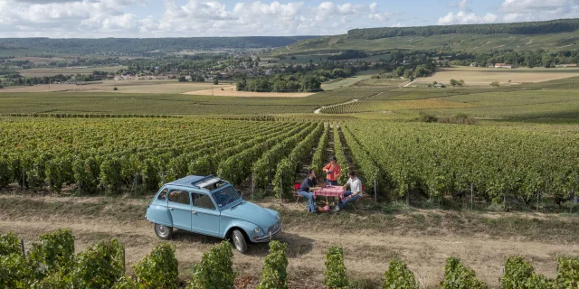 Champagne - vineyard in Northern France credits Hauts De France Tourisme Benjamin Teissedre