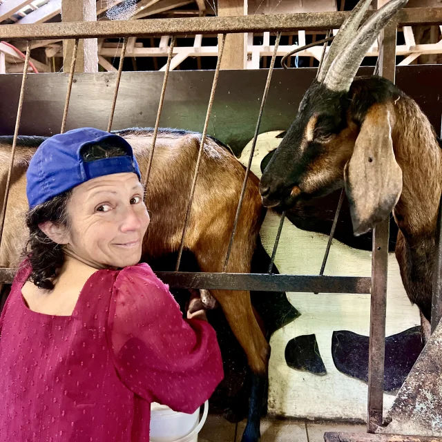 Hesmond - Halte D'autrefois @Claire Decraene